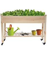 2ft x 4ft Outdoor Solid Fir Wood Raised Garden Bed Planter Box on Locking Wheels