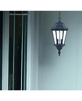 Two-Light Carousel Lantern Hanging Light – Stylish Lighting for Home & Garden