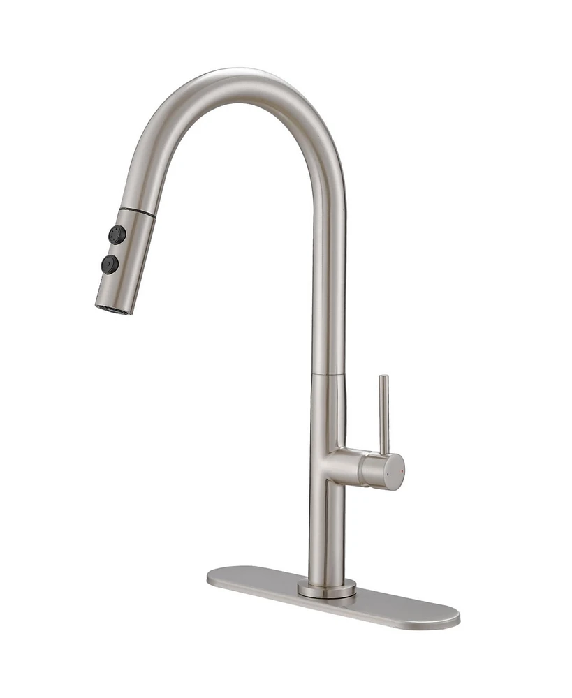 Single Handle Pull Down Sprayer Kitchen Faucet Brushed Nickel
