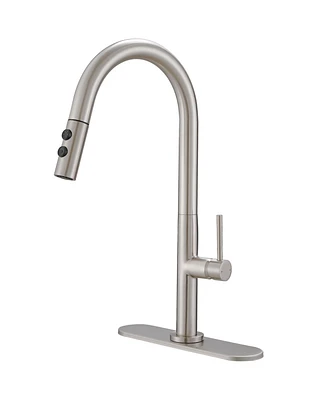Single Handle Pull Down Sprayer Kitchen Faucet Brushed Nickel