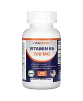 Vitamatic Vitamin B6 500 mg
