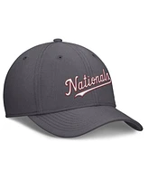 Nike Men's Gray Washington Nationals Swoosh Performance Flex Hat