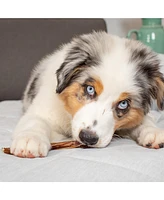 Bully Sticks: 3pk - Standard 6"