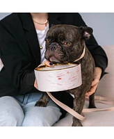 Marble Dog Bowl: Blush Pink & Gold Accent