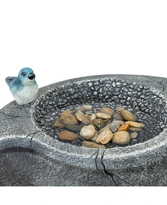 Resin Bird Bath with Feeder Compartment - Traditional Pedestal Bird Bath - 27" H - Gray