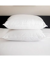 2 Pack Medium Down & Feather Chamber Bed Pillow