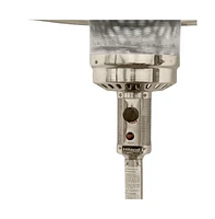 Freestanding 48000 Btu Propane Patio Heater with Steel Construction