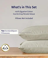 Luxury 100% Egyptian Cotton Standard Pillow Cases Set of 2 - Classic Percale, Soft & Breathable, Fits Queen Pillows