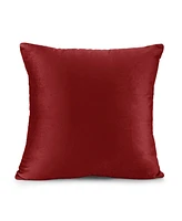 Nestl Elegant Velvet Removeable Cover 2-Pack Decorative Pillows