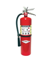 Amerex B441, 10lb Abc Dry Chemical Fire Extinguisher with Chrome Plated Brass Valve & Wall Hanger