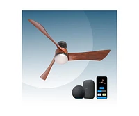 All Seasons 54 Ceiling Fan with Light, Quiet, Alexa Google, 3 Color Led Lights, Reversible,Remote