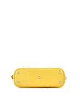 Pre-Owned Hermes 25 Bolide 1923 Bag Evercolor