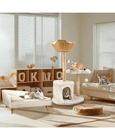 Bingopaw Solid Wood Cat Tree Tower for Indoor Cats With Soft Cushions