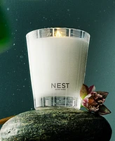 Nest New York Forest Rain Classic Candle, 8.1 oz.
