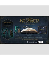 Hogwarts Legacy Collector's Edition for Xbox One