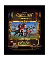 Swi Harry Potter: Quidditch Champ Dlx Cib for Nintendo Switch