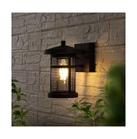 Osprey 7.5" Outdoor Sconce