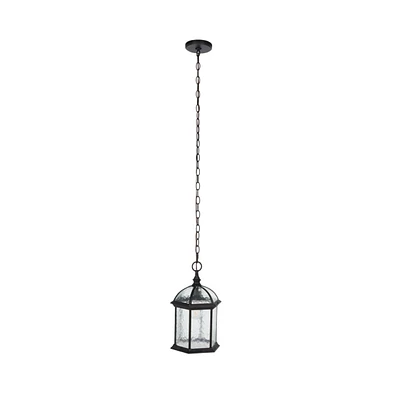 Falyn 10" Outdoor Pendant
