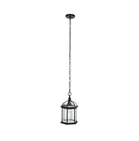 Falyn 10" Outdoor Pendant