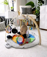 Baby Einstein Baby Zen's Activity Milestones Plush Gym