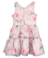 Rare Editions Big Girls Floral Organza Party Dress