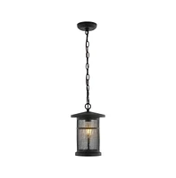 Osprey 8" Outdoor Pendant