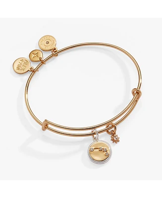 Zodiac Bangle Bracelet Aries
