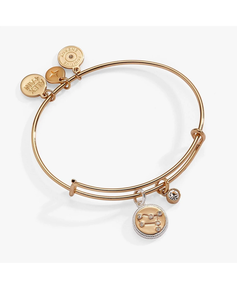 Zodiac Bangle Bracelet Gemini