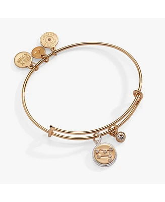 Zodiac Bangle Bracelet Gemini