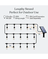 Ambience Pro Heavy Duty Solar-Powered Led Outdoor String Lights with 15 Hooks (48 ft.)