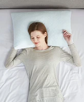 Sleep Philosophy Rayon from Bamboo Shredded Memory Foam Pillow