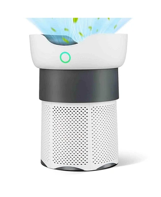 Air Purifier with Sleep Mode for Home Office up to 1300 Sq Ft
