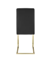 Set of 2 Modern Dining Chairs for Kitchen Table or Home Seating