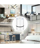 Mini Ionic 3-in-1 Composite Hepa Air Purifier