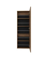 Baltimore Wall Mounted Shoe Rack, Mirror, Single Door, Ten Shoes Capacity,Natural Oak