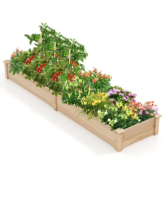 Wooden Raised Garden Bed with 2 Planter Boxes and Dividers-Natural