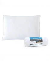 Columbia Perfect Comfort and Support Natural Pillow