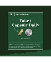 Olive Leaf Extract Capsules | High Strength Antioxidant Supplement with Pure Olive Leaf | 120ct