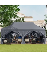 10 x 20 Feet Pop up Canopy with 6 Sidewalls Windows and Carrying Bag