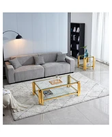 Modern Stainless Steel Coffee Side Table Set (2-Piece)
