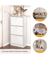 Modern Shoe Cabinet: Upscale 3-Drawer Design