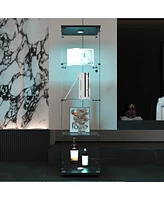 Led lights Glass Display Cabinet 4 Shelves with Door, Floor Standing Curio Bookshelf for Living Room Bedroom Office, 64.7" 16.7" 14.3",