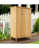 5 × 3 Feet Outdoor Storage Cabinet with Asphalt Roof and 3 Shelves