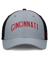 Nike Men's Gray/Black Cincinnati Reds Rise Swoosh Performance Flex Hat