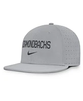 Nike Men's Gray Arizona Diamondbacks True Performance Fitted Hat