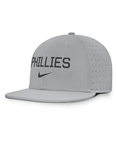 Nike Men's Gray Philadelphia Phillies True Performance Fitted Hat