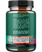 Pancreatic Digestive | Enzymes for Digestive Health, Protease Amylase & Lipase Enzymes for Digestion | 120ct