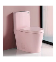 WaterSense Certified One-Piece Toilet with Powerful Dual Flush (1.1/1.6 Gpf)
