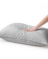 Unikome Goose Down Feather 2-Pack Pillows