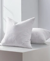 Unikome Home Decor 2-Pack Pillow Insert